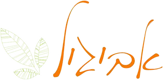 default-logo