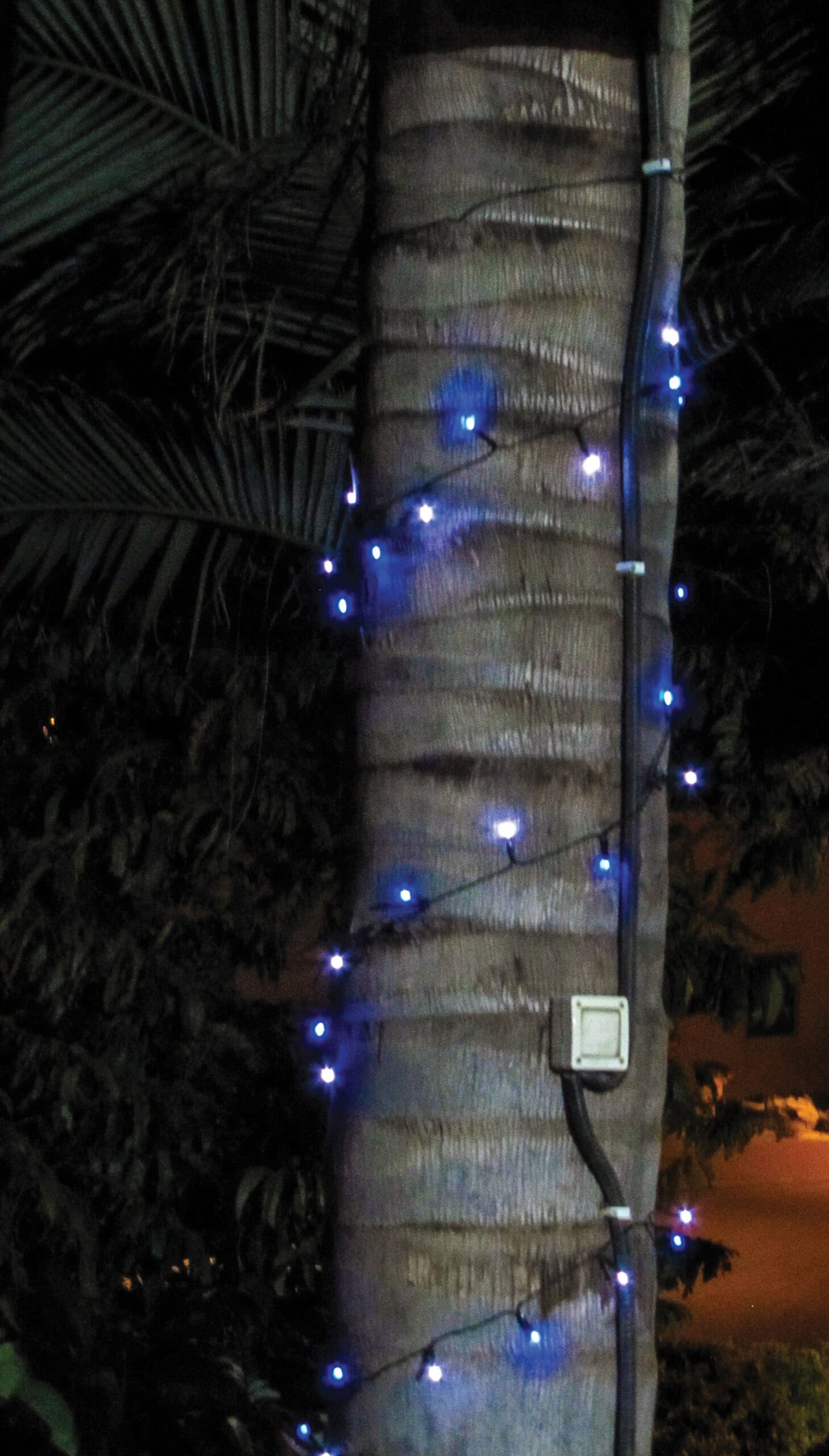 שרשרת מנורות סולאריות מרצדות