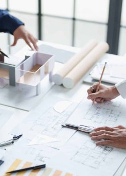 הדרך הנכונה לבחירת מערכת גינה